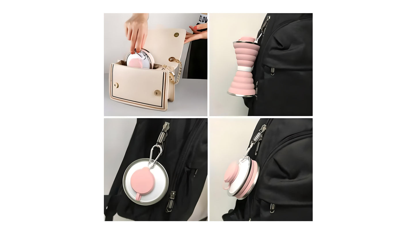 Collapsible Water Bottle